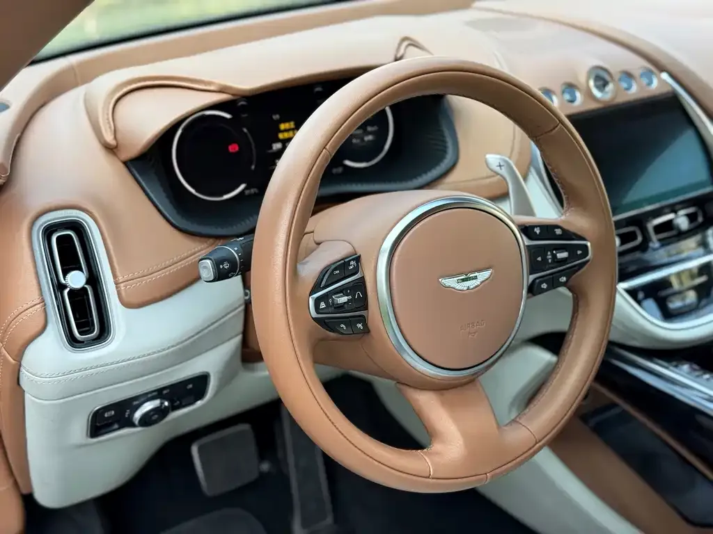 Aston Martin DBX 2022 из CN, фото 5