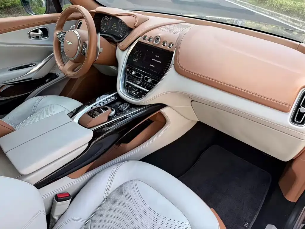 Aston Martin DBX 2022 из CN, фото 6