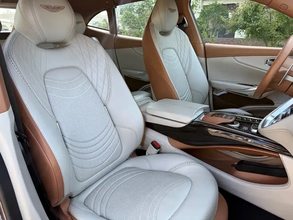 Aston Martin DBX 2022 из CN, фото 8