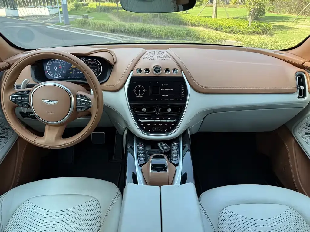 Aston Martin DBX 2022 из CN, фото 9