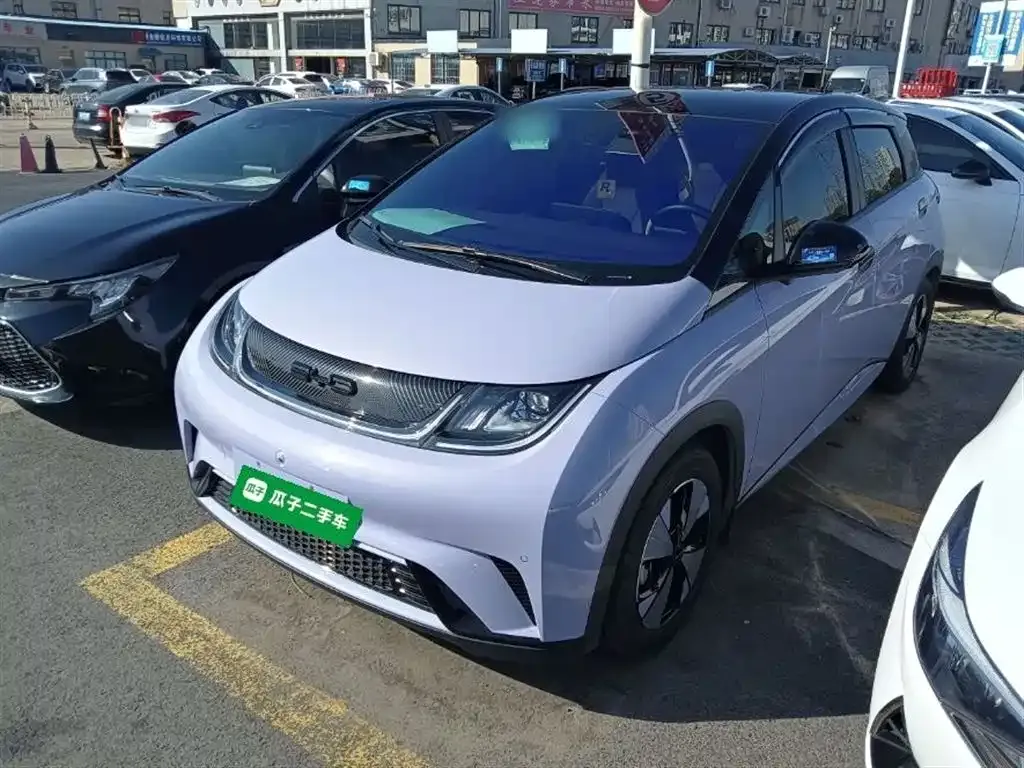 BYD Dolphin 2023 из CN, фото 1