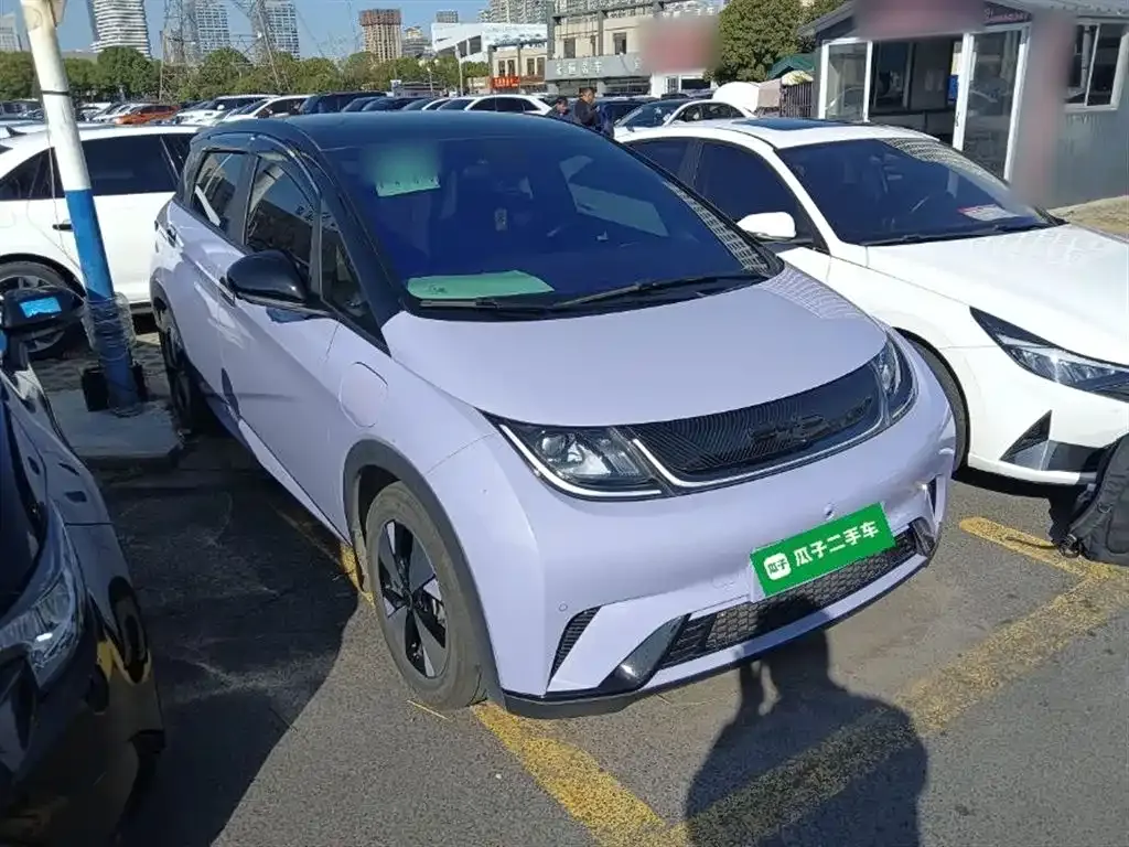 BYD Dolphin 2023 из CN, фото 4