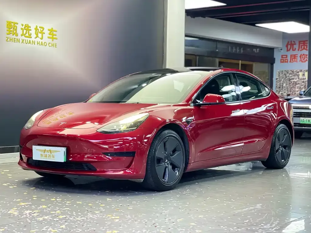 Tesla Model 3 2021 из CN, фото 1