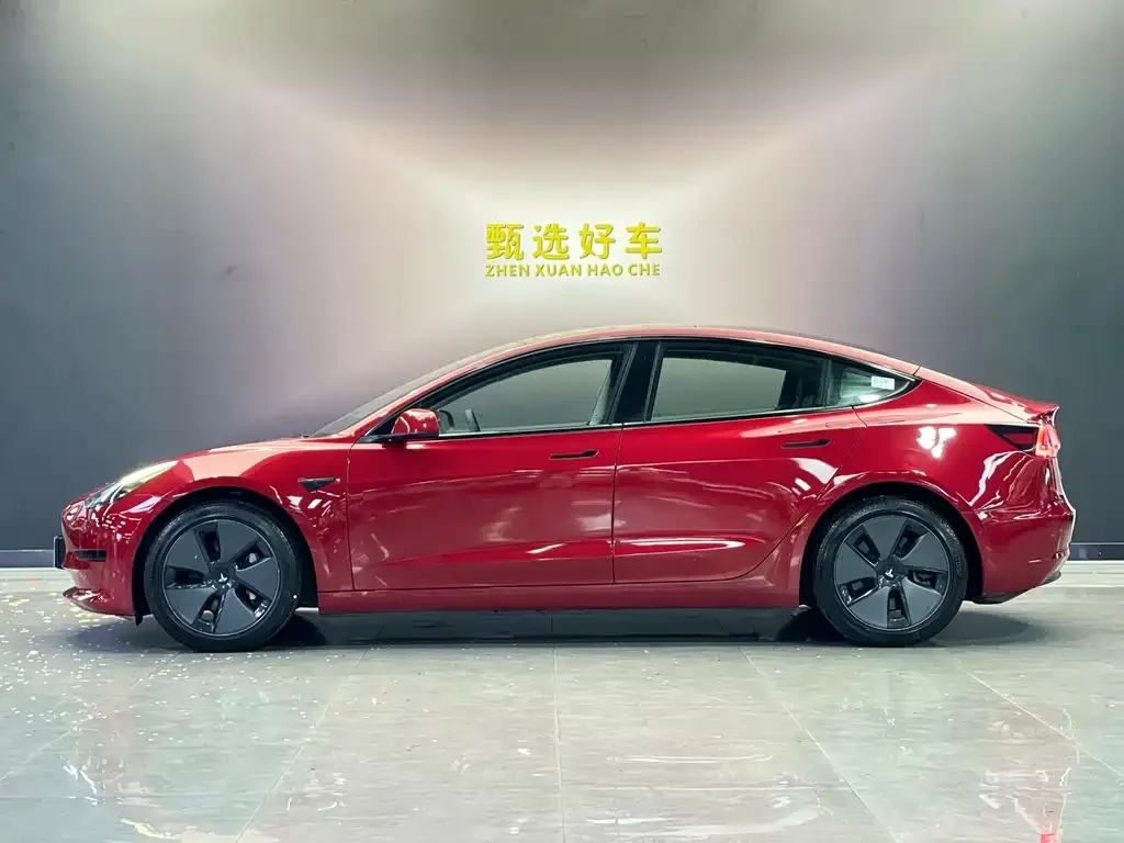 Tesla Model 3 2021 из CN, фото 3