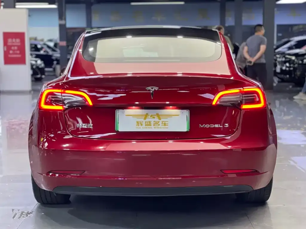 Tesla Model 3 2021 из CN, фото 4