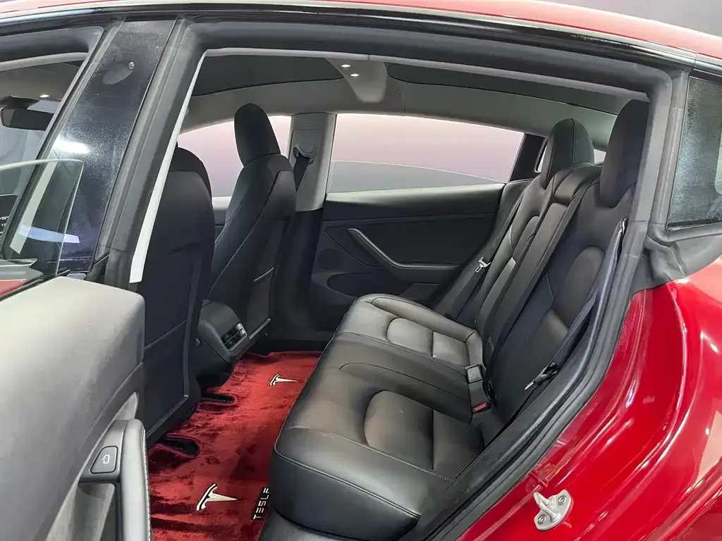 Tesla Model 3 2021 из CN, фото 6