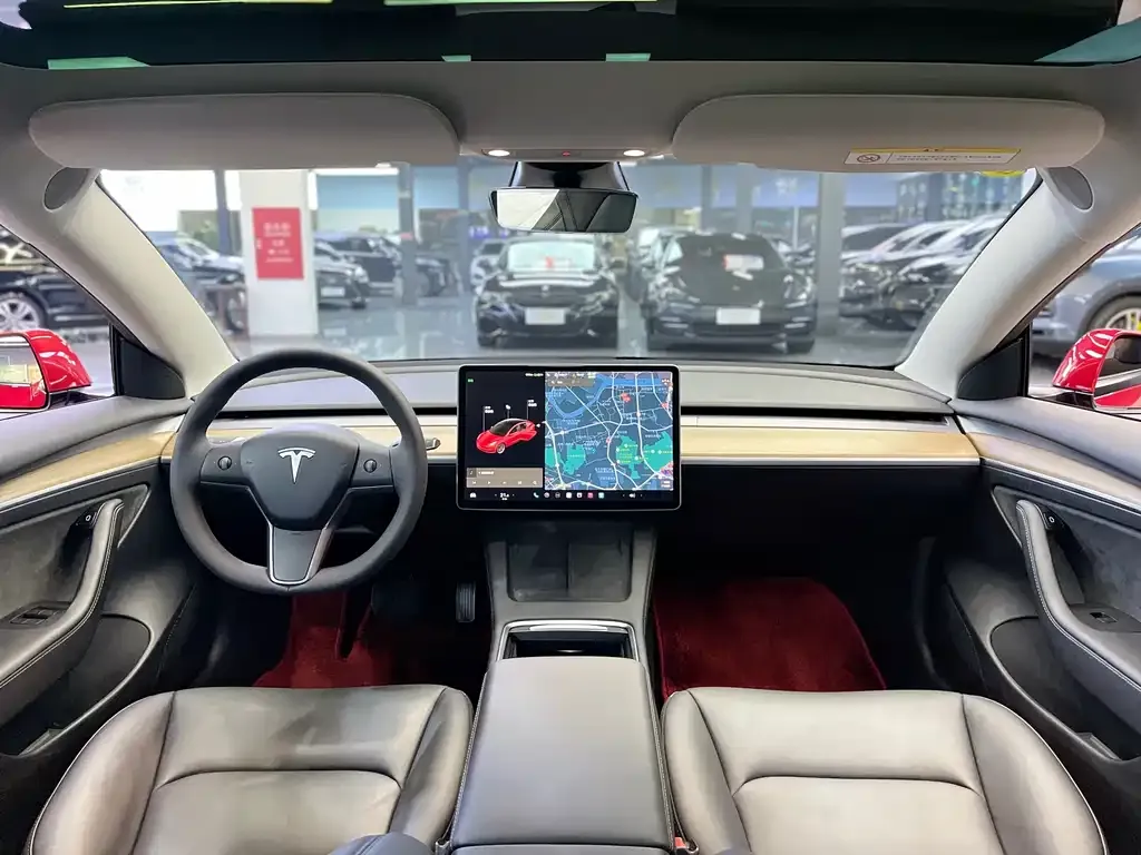 Tesla Model 3 2021 из CN, фото 9