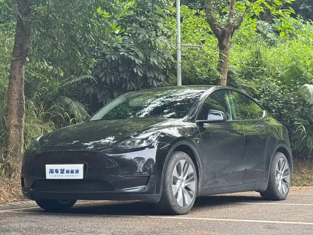 Tesla Model Y 2022 из CN, фото 1