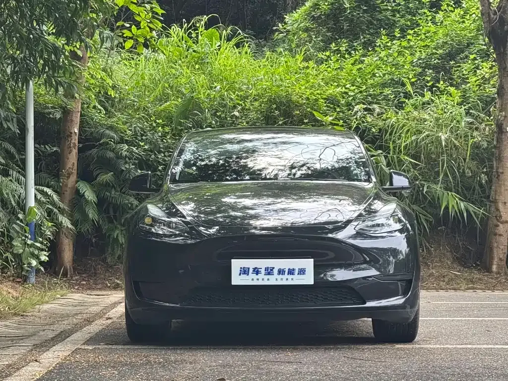 Tesla Model Y 2022 из CN, фото 6