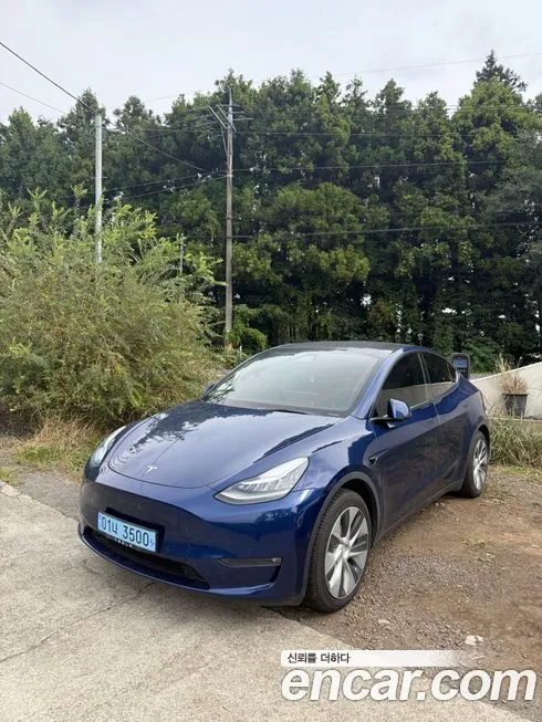 Tesla Model Y — фото 3