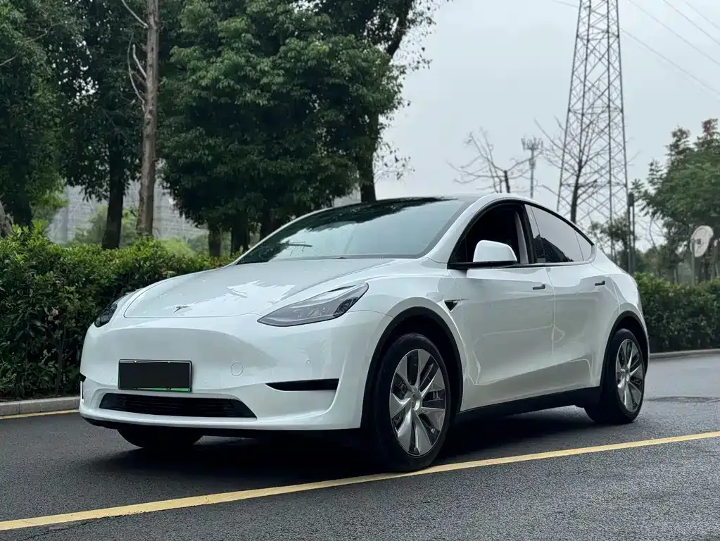 Tesla Model Y 2023 из CN, фото 1