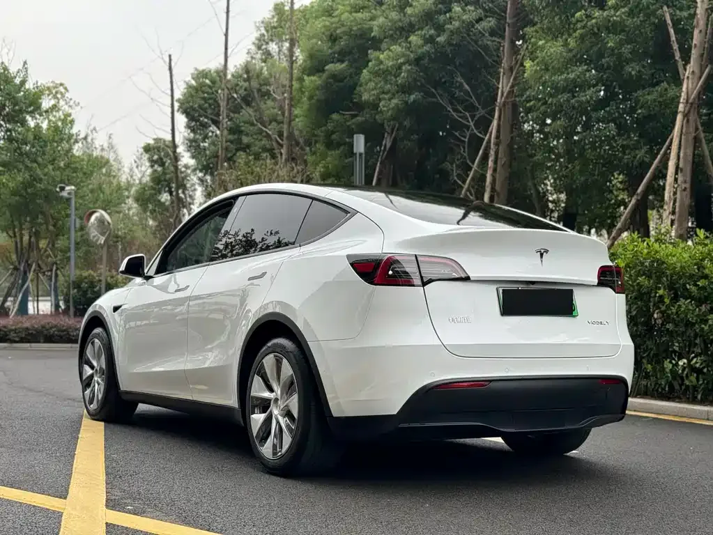 Tesla Model Y 2023 из CN, фото 8