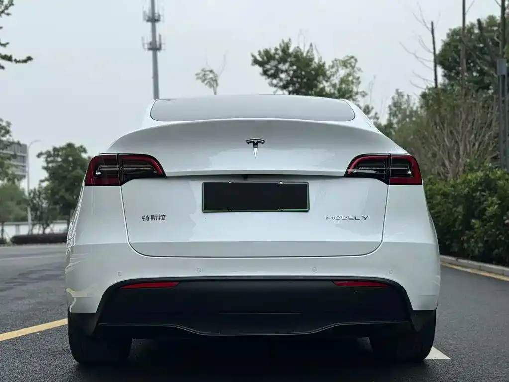 Tesla Model Y 2023 из CN, фото 9