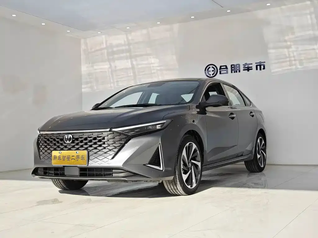 Changan Ruicheng PLUS 2023 из CN, фото 2