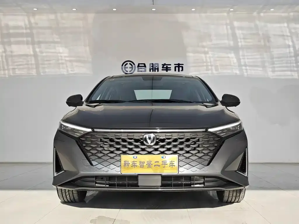 Changan Ruicheng PLUS 2023 из CN, фото 3