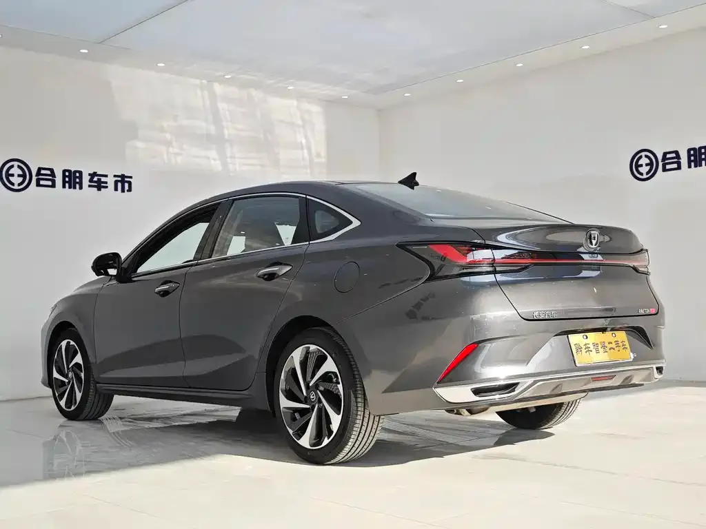 Changan Ruicheng PLUS 2023 из CN, фото 4
