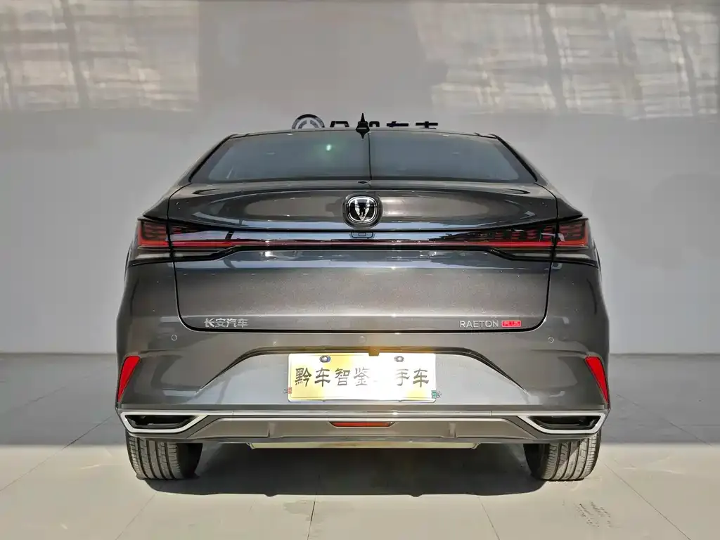 Changan Ruicheng PLUS 2023 из CN, фото 5