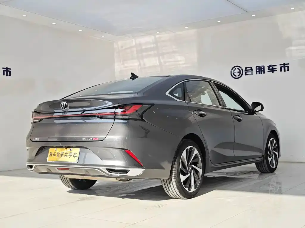 Changan Ruicheng PLUS 2023 из CN, фото 6