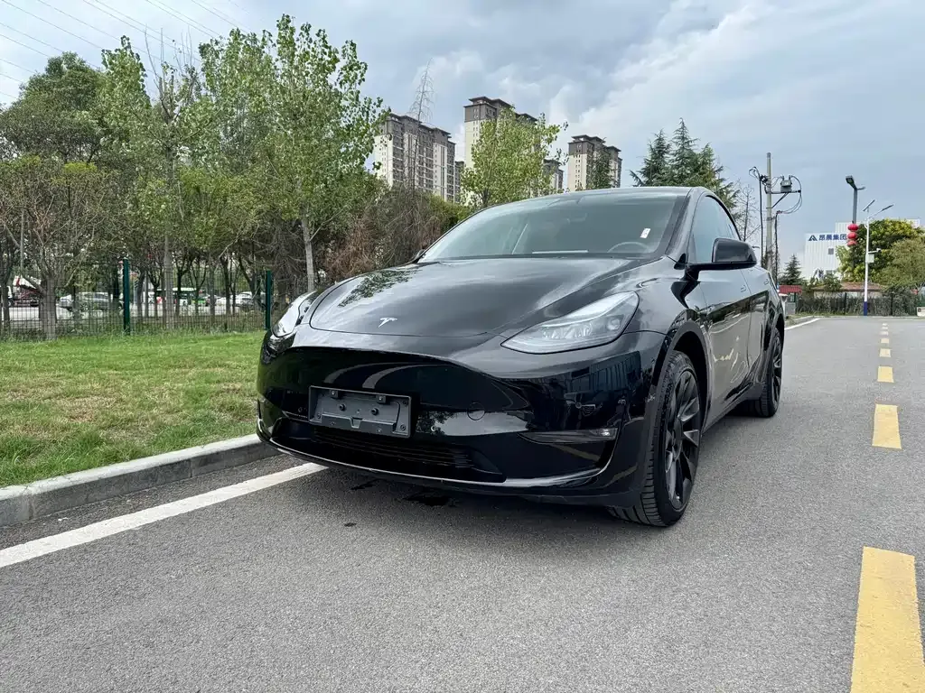 Tesla Model Y 2024 из CN, фото 1