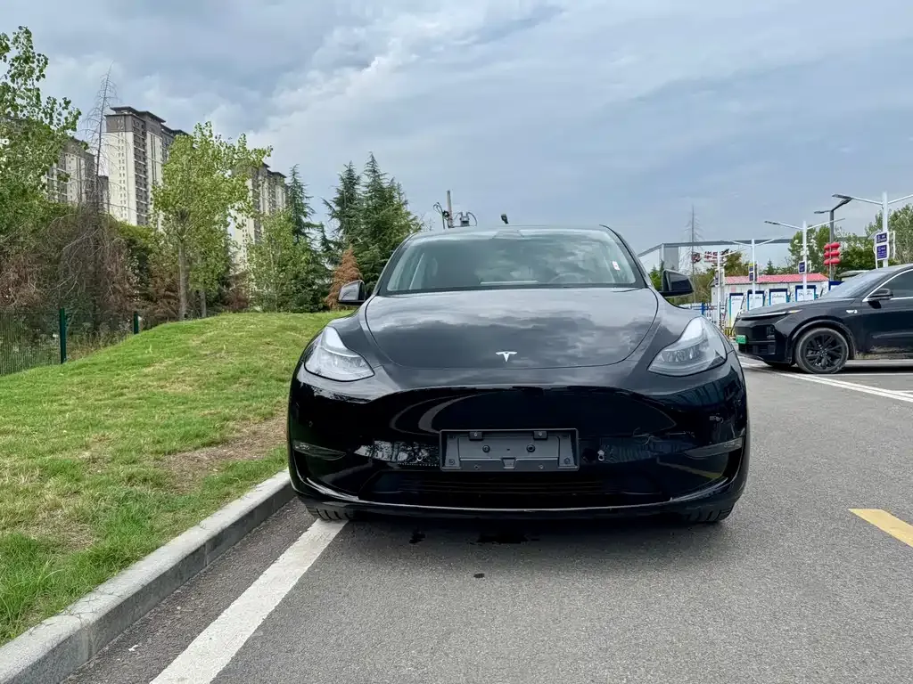 Tesla Model Y 2024 из CN, фото 2
