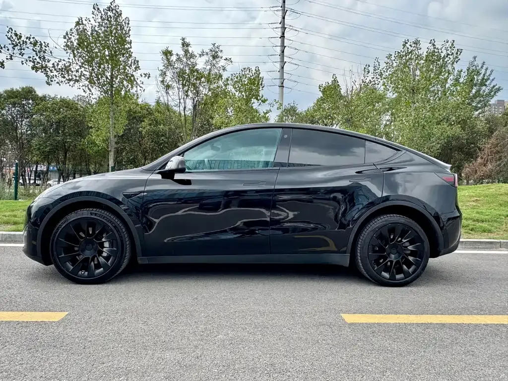 Tesla Model Y 2024 из CN, фото 4