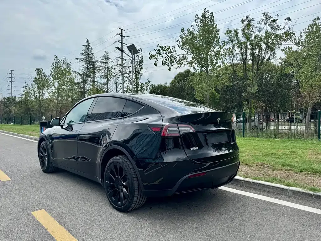 Tesla Model Y 2024 из CN, фото 5