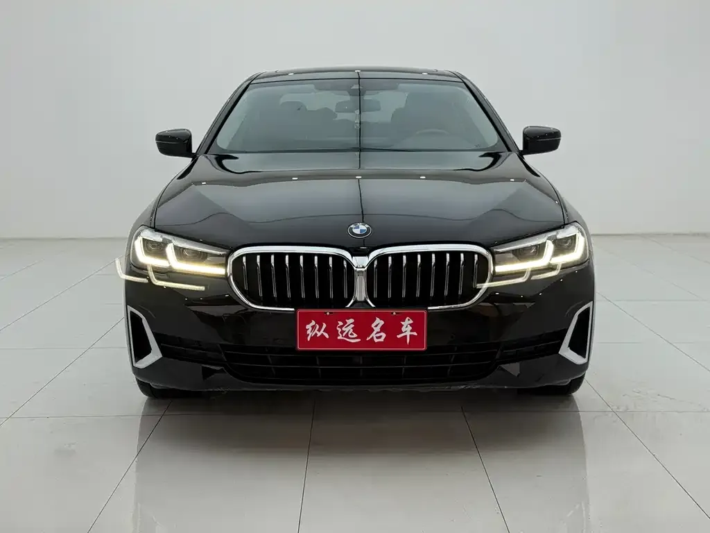 BMW 5 Series 2021 из CN, фото 2