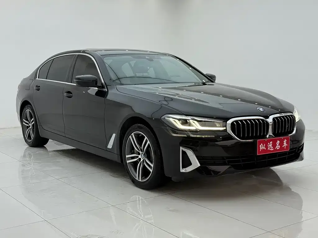 BMW 5 Series 2021 из CN, фото 3