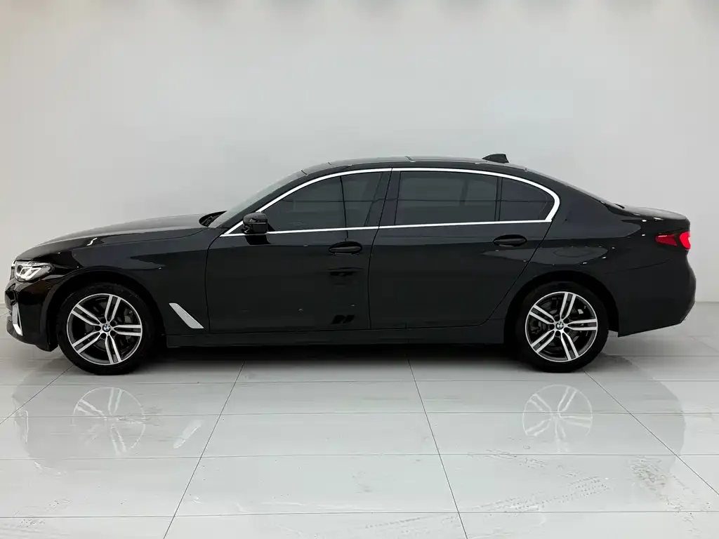BMW 5 Series 2021 из CN, фото 4