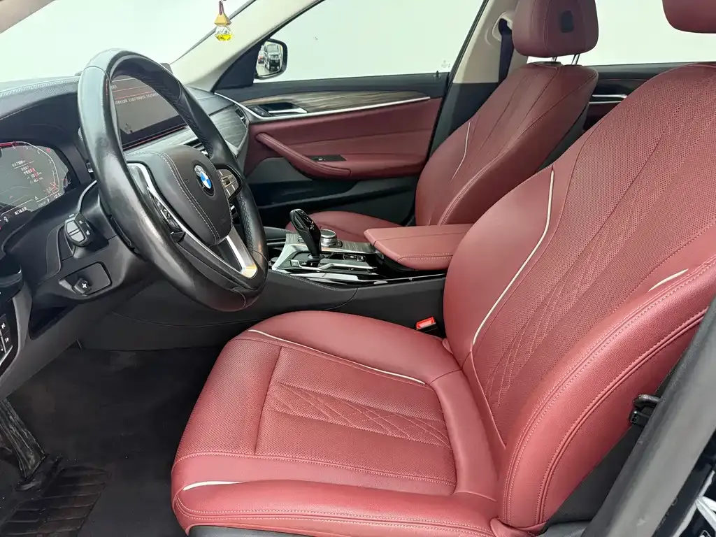 BMW 5 Series 2021 из CN, фото 6