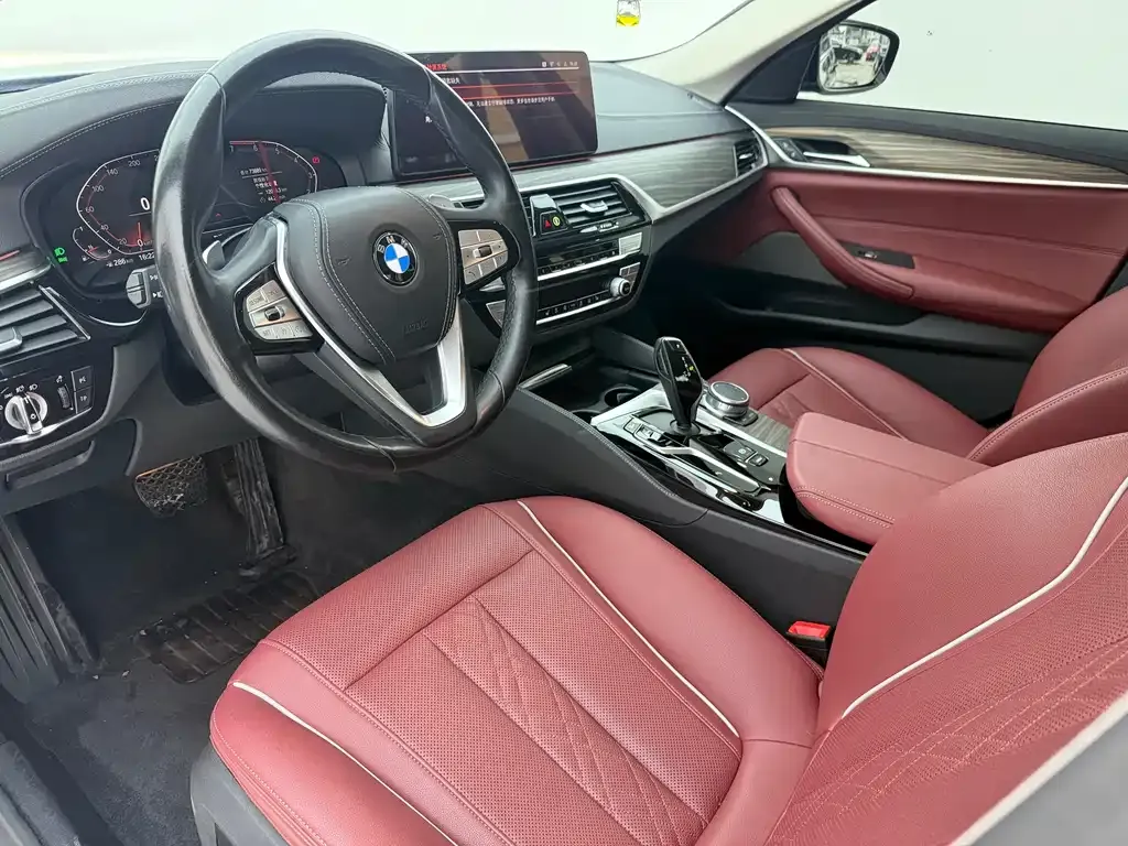 BMW 5 Series 2021 из CN, фото 7
