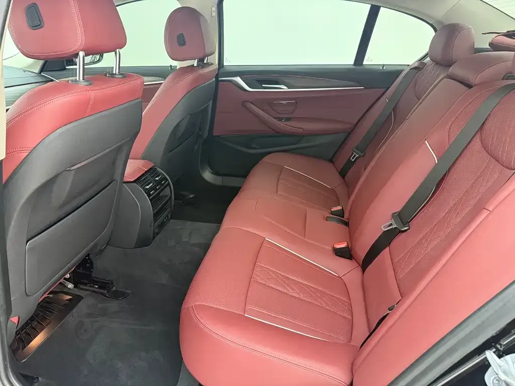 BMW 5 Series 2021 из CN, фото 8