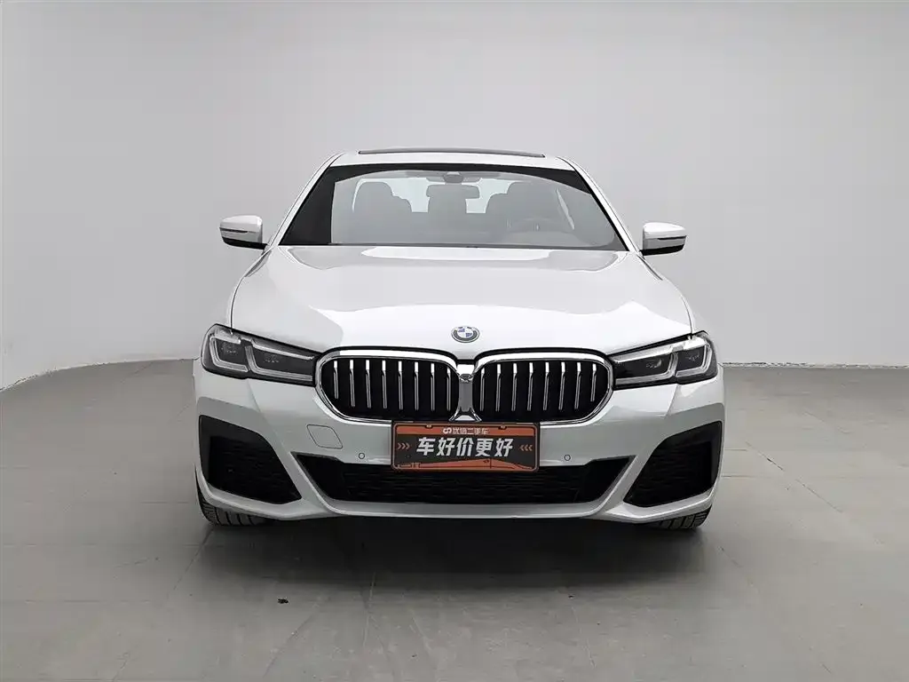 BMW 5 Series 2021 из CN, фото 3
