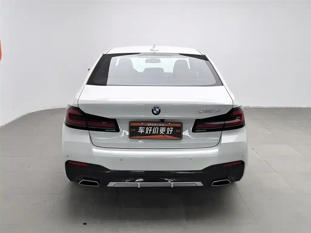 BMW 5 Series 2021 из CN, фото 4