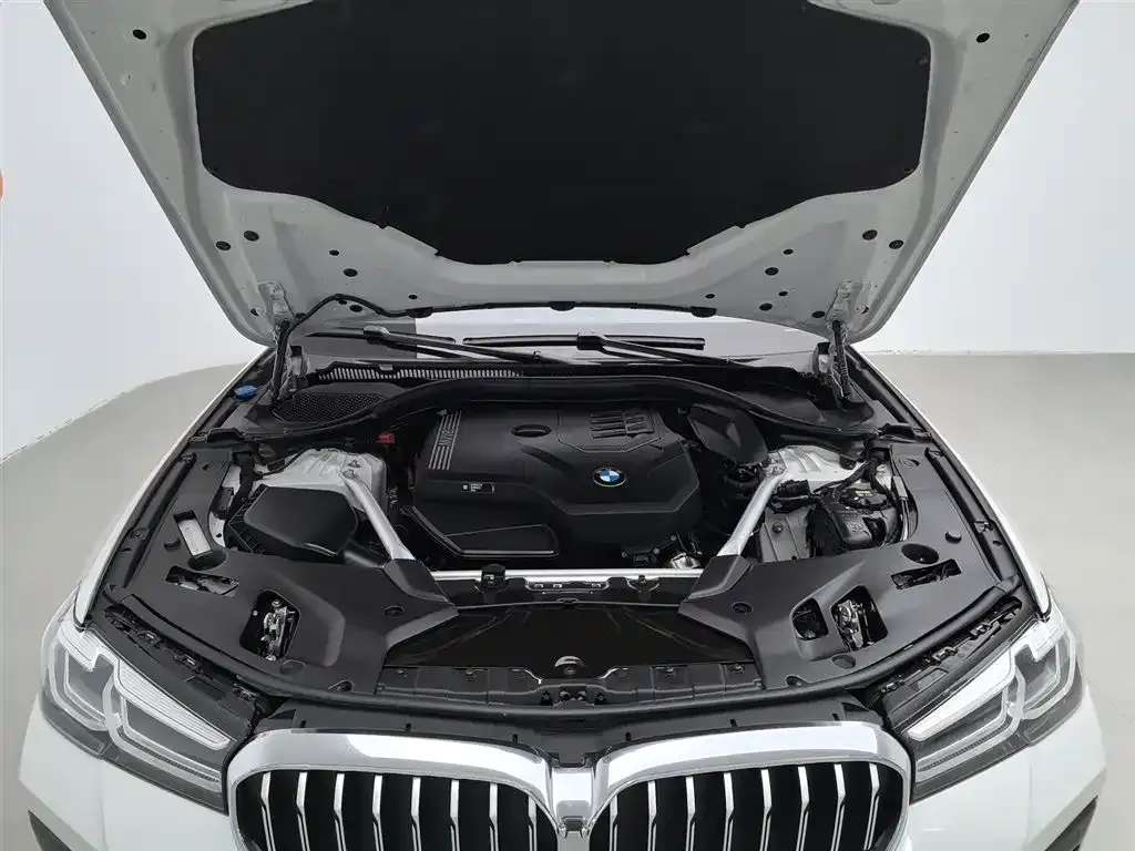 BMW 5 Series 2021 из CN, фото 6