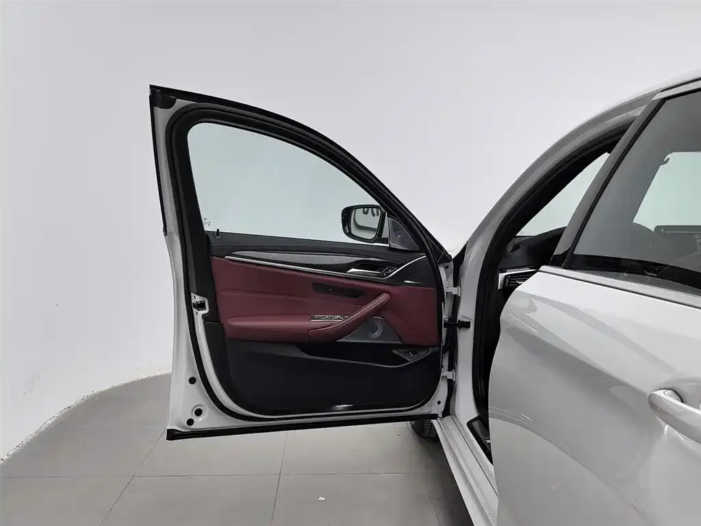 BMW 5 Series 2021 из CN, фото 8