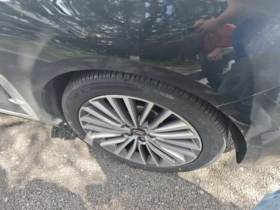 Hongqi H9 2021 из CN, фото 6