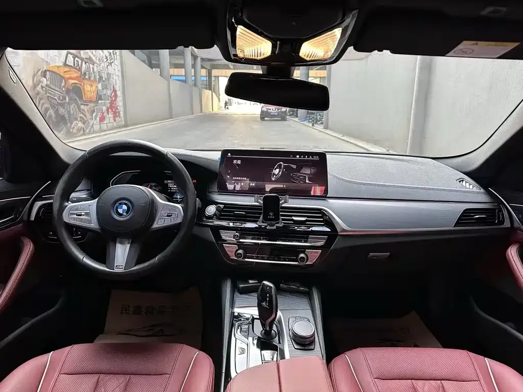 BMW 5 Series New Energy 2023 из CN, фото 9