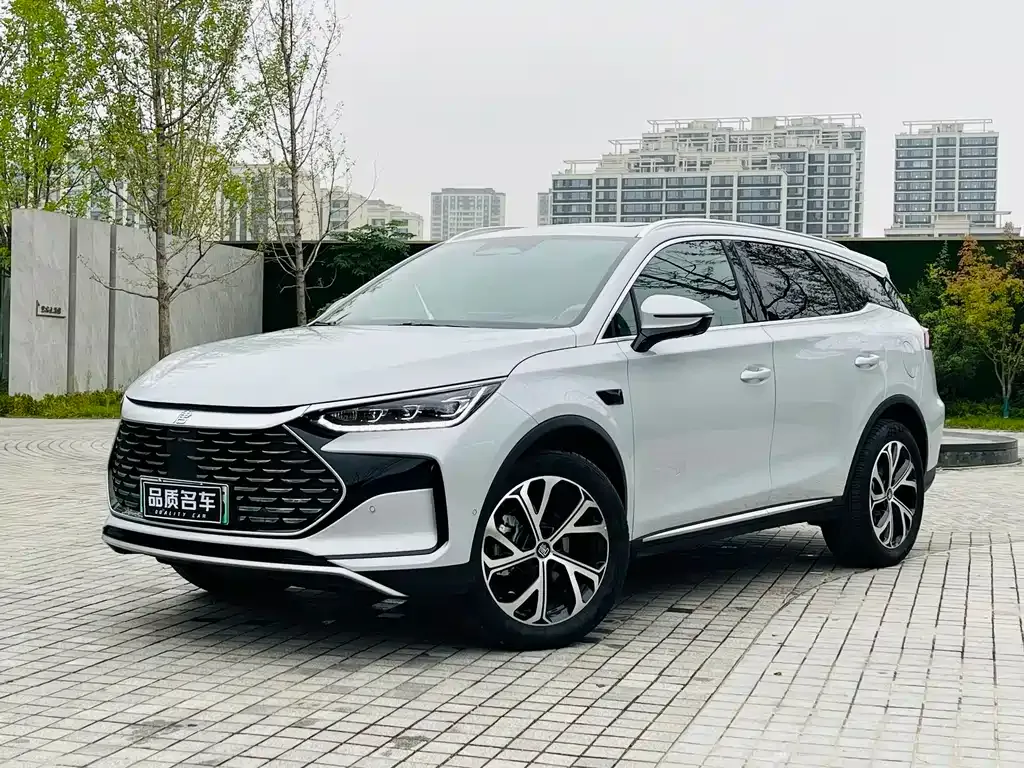 BYD Tang New Energy 2025 из CN, фото 1