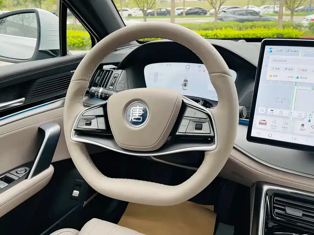BYD Tang New Energy 2025 из CN, фото 10