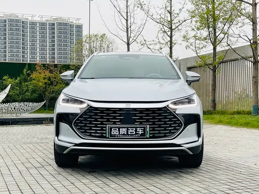 BYD Tang New Energy 2025 из CN, фото 2