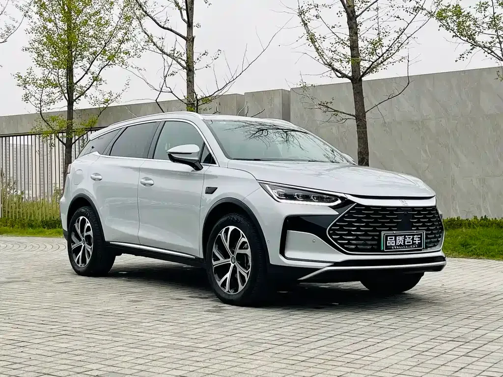 BYD Tang New Energy 2025 из CN, фото 3