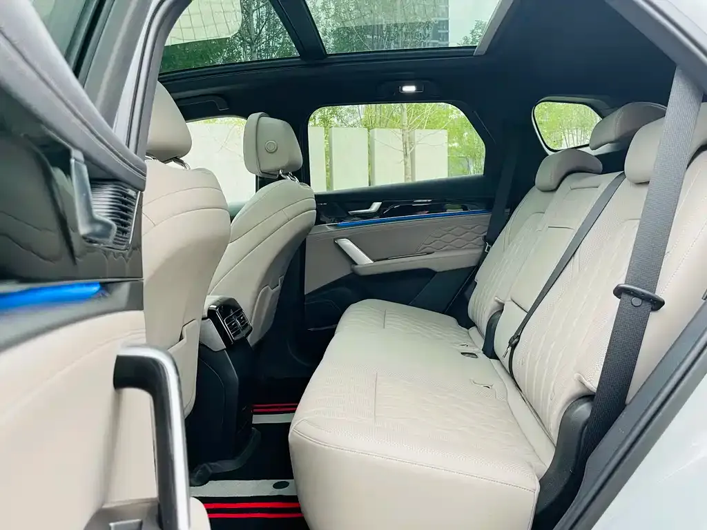BYD Tang New Energy 2025 из CN, фото 5