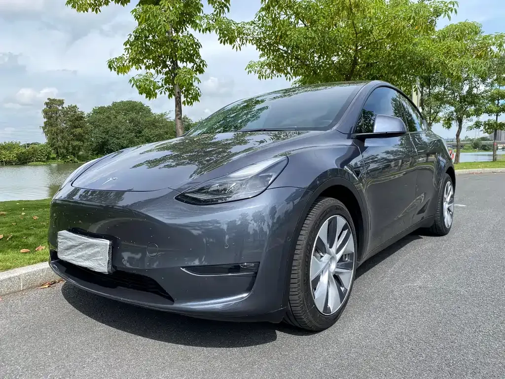 Tesla Model Y — фото 1