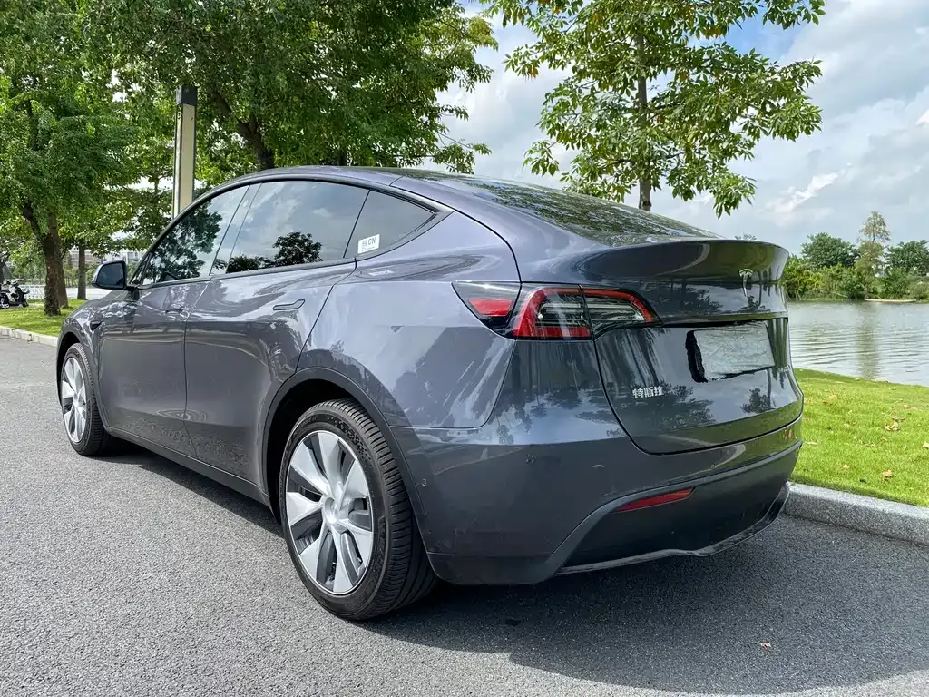 Tesla Model Y — фото 10