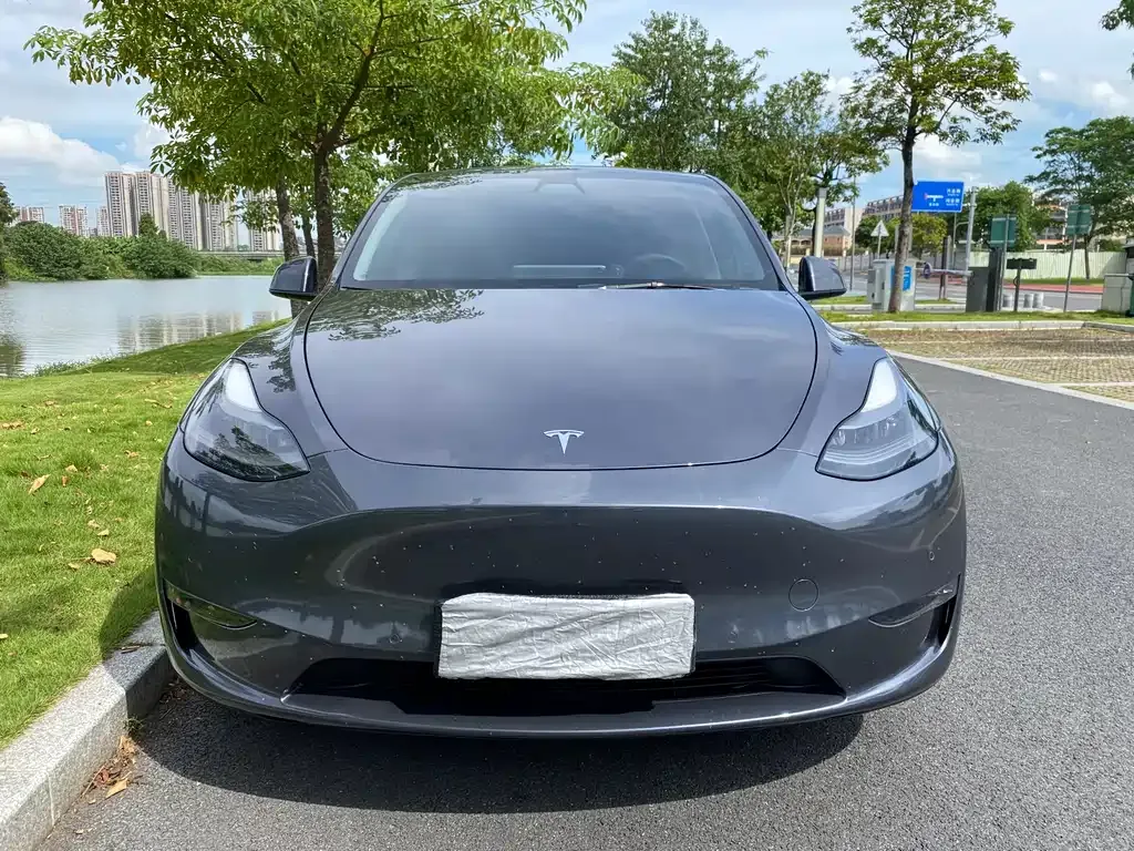 Tesla Model Y — фото 2