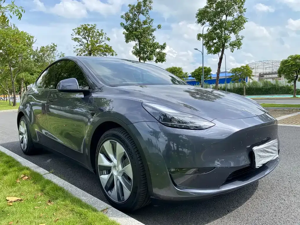 Tesla Model Y — фото 3