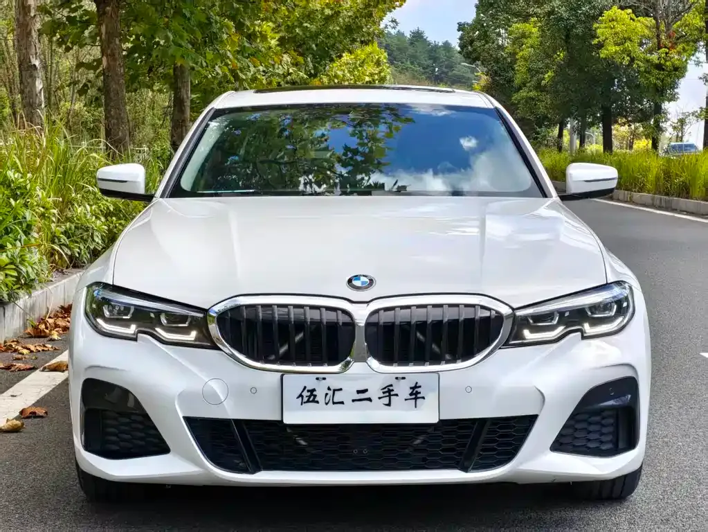 BMW 3 Series 2021 из CN, фото 2