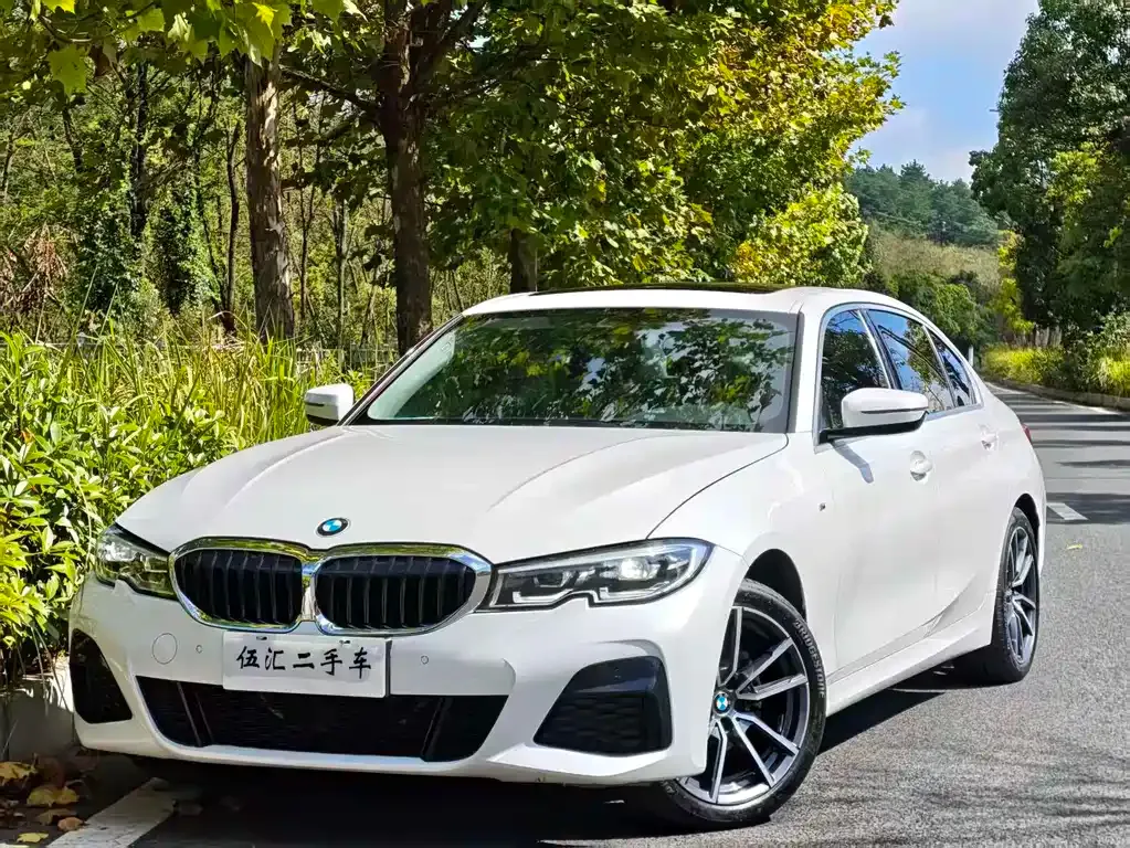 BMW 3 Series 2021 из CN, фото 3