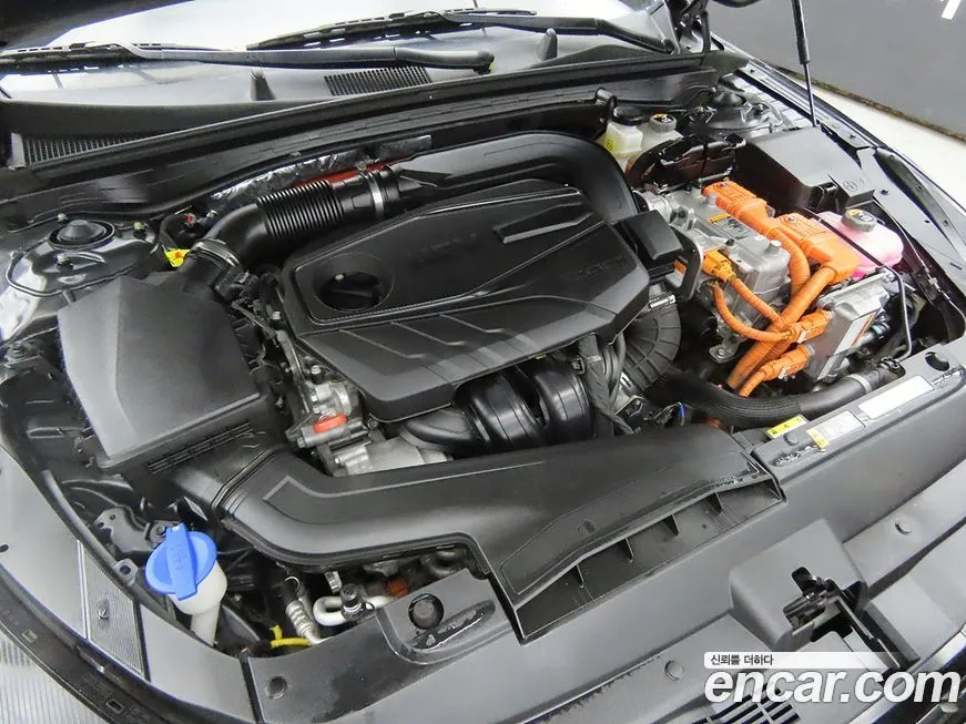 Kia K5 2023 из KR, фото 6